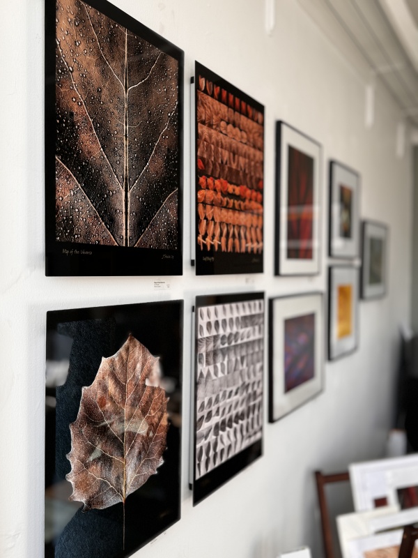 LAND Photography Gallery and artisanal space in Pawling, New York