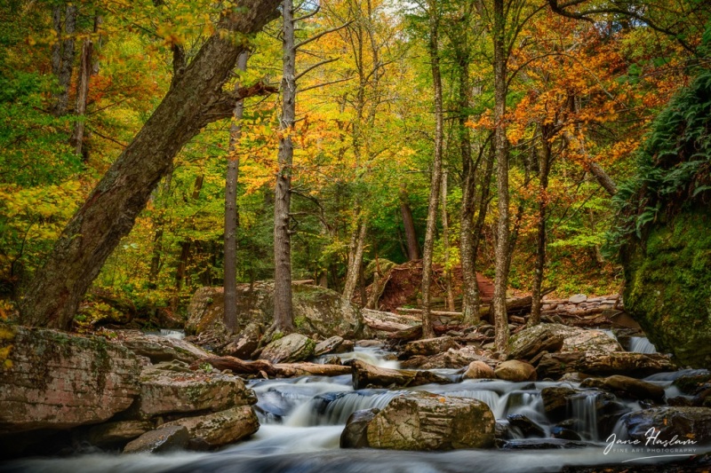 Fast flowing water and autumn splendor at Kaaterskill Creek in the Northern Catskills